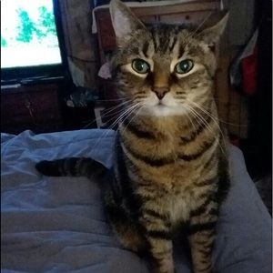 Meet your Posher, Lisa